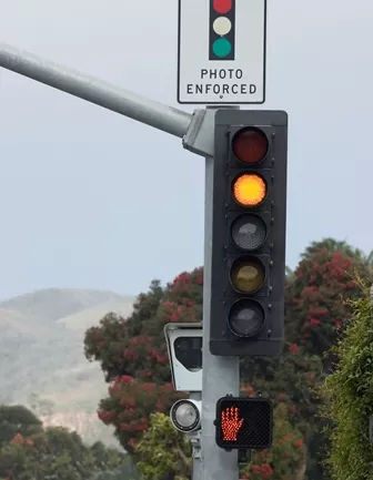 red light ticket points on license